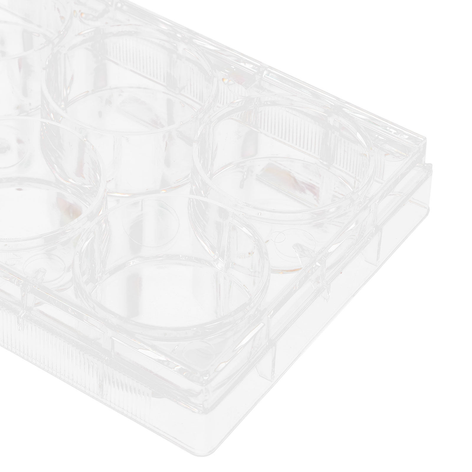 Tissue Culture Plate 6 Wells S - Lab Equipment recension och pris